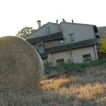 Mansarda Molenda * Citta di Castello
